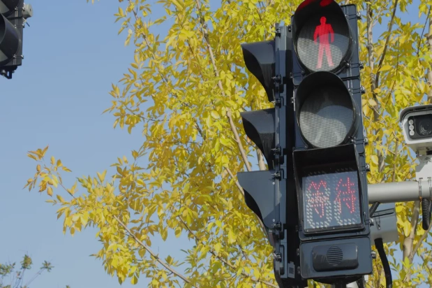 Alama za FAMA Zinazosikika za Watembea kwa Miguu zenye Makazi ya Plastiki Zinafikia Zaidi ya Vitengo 7,500 Zilizouzwa Mwezi Novemba, Zimetumwa kwa Zaidi ya Makutano 1,000 Alama za FAMA Zinazosikika za Watembea kwa Miguu zenye Makazi ya Plastiki Zinafikia Zaidi ya Vitengo 7,500 Zilizouzwa Mwezi Novemba, Zimetumwa kwa Zaidi ya Makutano 1,000